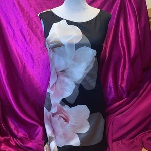 Teaberry pencil dress size 10 black with pink and white roses. Like new.…
